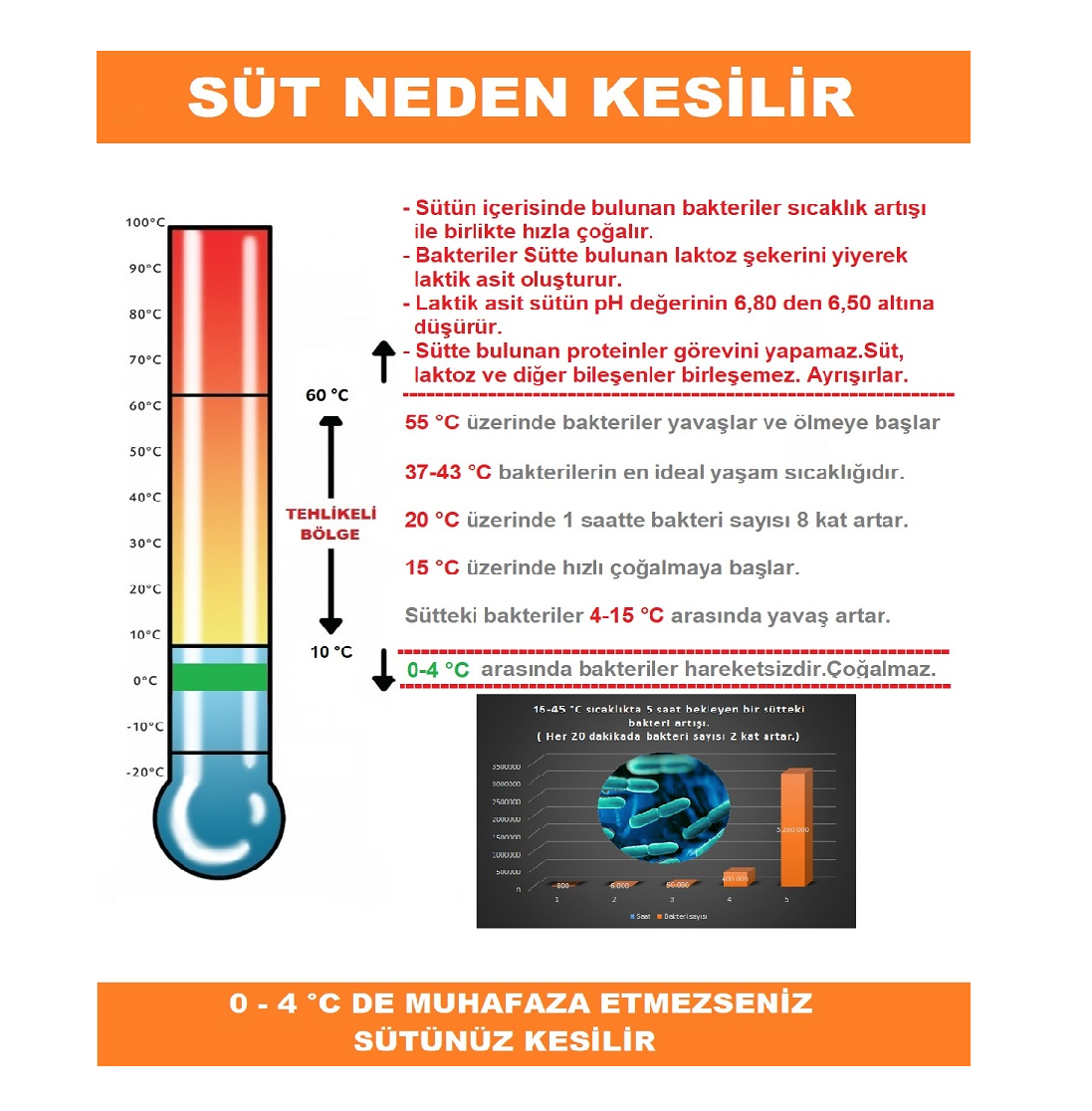 Herkül Çiftliği: Günlük Taze Doğal Süt | Simental İnek Sütü