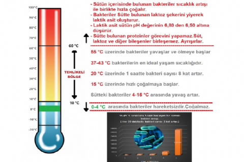 Herkül Çiftliği: Günlük Taze Doğal Süt | Simental İnek Sütü