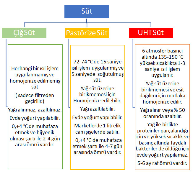 Süt Çeşitleri